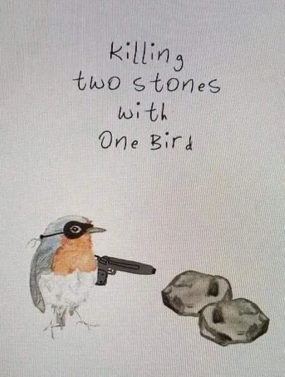 A drawing of a robin holding a pistol, captioned killing two stones with one bird